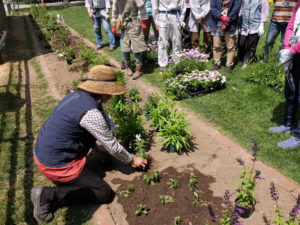 一年草配置のポイントを説明する様子