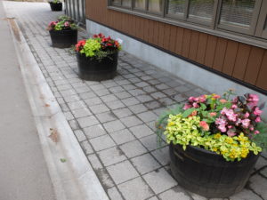 センター横 6月19日の様子