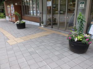 センター前 6月19日の様子