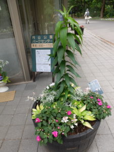 センター前コンテナアップ(6月19日)