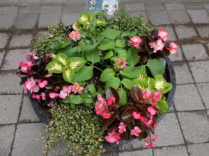 センター横コンテナアップ(6月19日)