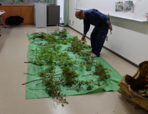 枝を並べる様子