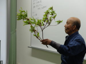 ヨドガワツツジを持つ鮫島先生