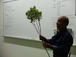 ムラサキツツジを持つ鮫島先生