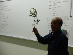 ドウダンツツジを持つ鮫島先生