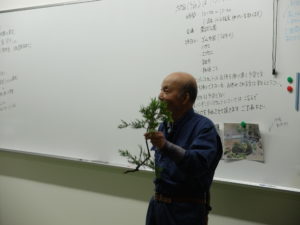 ニオイヒバを持つ鮫島先生