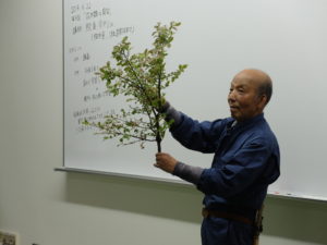 ニシキギを持つ鮫島先生