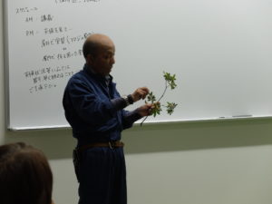 リュウキュウツツジから花がらを取る様子