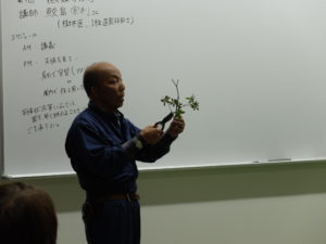 不要な枝(枯れ枝等)を切る様子