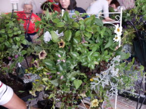 出来上がったハンギングバスケットの様子