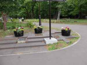 コンテナ花壇(6/19メンテナンス後)