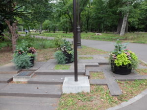 コンテナ花壇(7/31メンテナンス前)