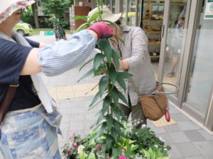 支柱を継ぎ足している様子