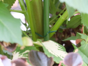 支柱を固定した様子