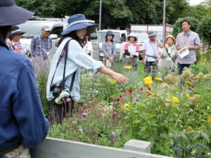 花壇の説明をしている様子