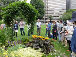 ホップのアーチがある花壇「ホップの小径」