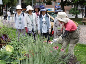 切り戻しの箇所などをそれぞれの花壇で教わる様子