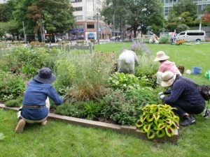 爽やかなイメージの「北国の花壇」