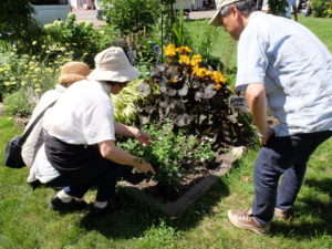 補植用の苗をどこに植えるか相談している様子