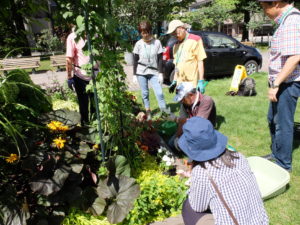 植え方を教わる様子