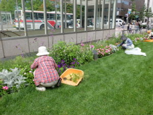 メンテナンスの様子