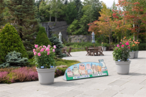 中央ゲート前ヒースガーデンとダリア