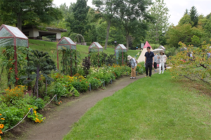 「収穫の谷」付近のキッチンガーデン。講座で先生を務めていただいたコテージガーデンの梅木さんがデザインに関わっています。