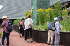 「暮らしの花園」ハーブに触って香りを楽しめる