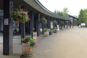 東口休憩所を彩るハンギングバスケットや樽の寄せ植え
