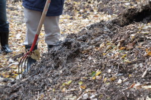 落ち葉堆肥を掘り返すとナットウ菌や発酵に伴う湯気が見られました