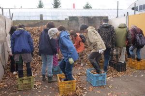 コンテナに落ち葉を入れて踏みしめる様子