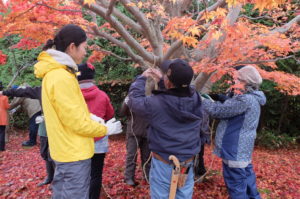 木の枝を用いて男結びの練習をする様子①
