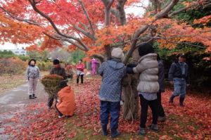 木の枝を用いて男結びの練習をする様子②