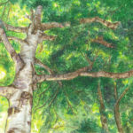 中学生の部 大賞作品