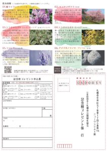 2021年記念樹プレゼントチラシ(裏)