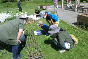 苗木引換の様子