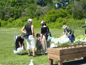 苗木引換の様子