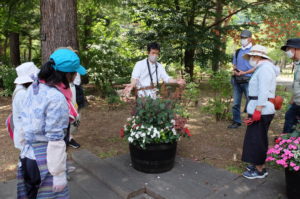 第7回「コンテナ花壇メンテナンス」の様子