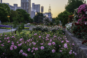 ［スポット会場］大通公園