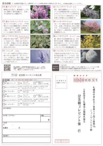 2022年記念樹プレゼントチラシ(裏)
