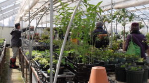 バックヤードの様子1