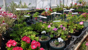 バックヤードの様子2