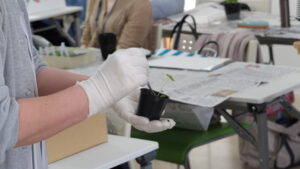 徒長苗への対処方法を教える様子