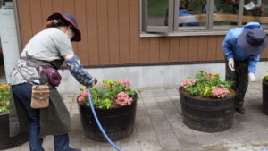 出来上がったコンテナガーデン