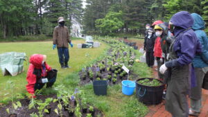 植え方のポイントを教わる様子