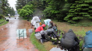 植込みの様子２