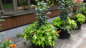 メンテナンス前