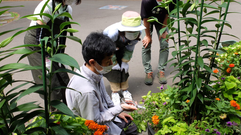 切り戻しの位置を教わっている様子
