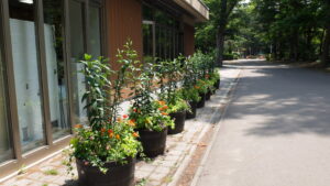 メンテナンス後