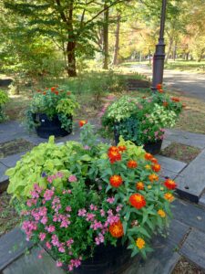 円山公園に設置していたコンテナの様子(10/14撮影)